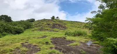 Pattikad - Photo 4