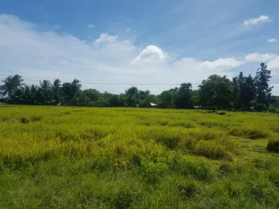Roxas - Photo 2