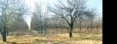 Phokwane Local Municipality - Photo 3
