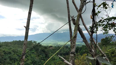 Mapawa - Photo 2
