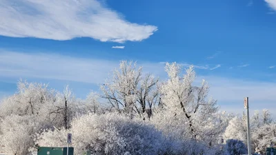 Strathmore - Photo 4