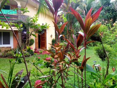 Mahinog - Photo 2