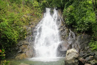 Khuekkhak - Photo 2