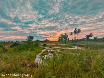 Nilaveli - Photo 3