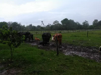 Parroquia Barinas - Photo 2