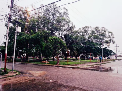 Parroquia Barinas - Photo 5