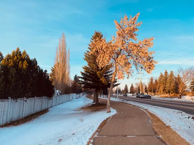 Stony Plain - Photo 2