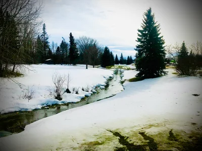 Stony Plain - Photo 5