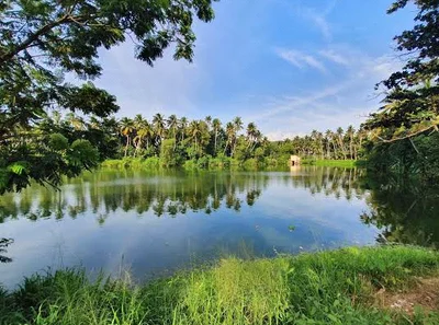 Neyyattinkara - Photo 5