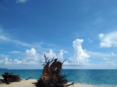 Thalang - Photo 2