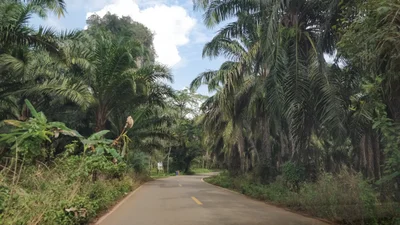 Mueang Krabi - Photo 2