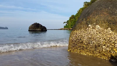 Kamala - Photo 5
