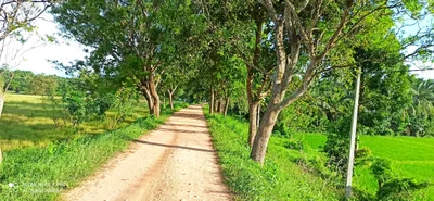 Kurunegala District - Photo 4