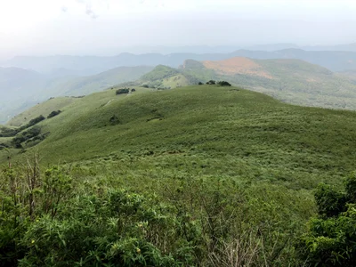 Pitawala - Photo 2