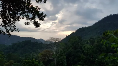 Pitawala - Photo 4