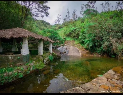 Panwila - Photo 2