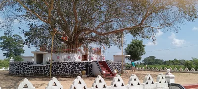 Deegavapiya - Photo 5