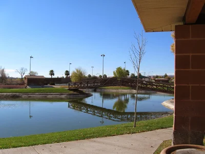 Mesquite - Photo 4