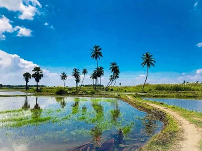 Ampara District - Photo 2