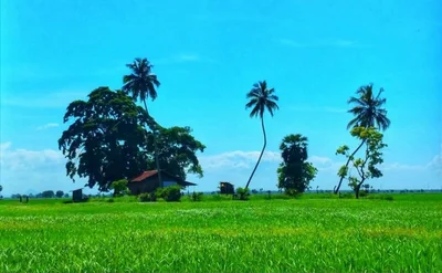 Ampara District - Photo 3