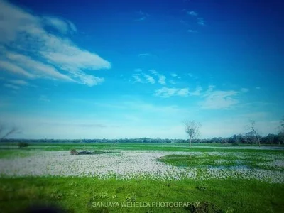 Lahugala - Photo 3