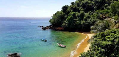 Tobago - Photo 2