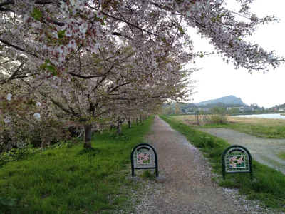 Yoichi - Photo 4