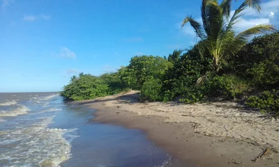 Awala - Photo 5