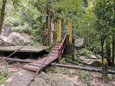Jelawang - Photo 4