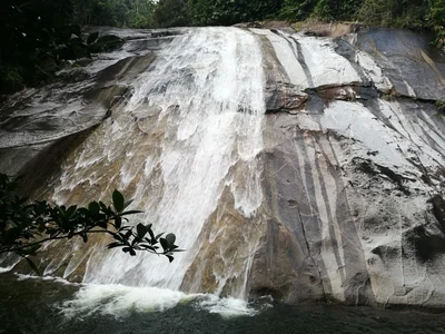 Jelawang - Photo 5