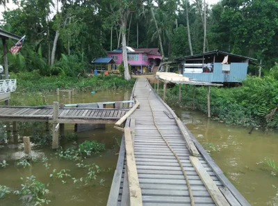Kampung Pulau Sekati - Photo 4
