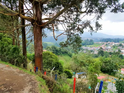 Risaralda - Photo 4