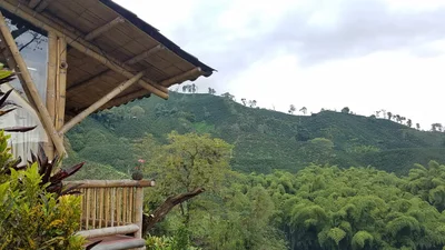 Hacienda Guayabal - Photo 5