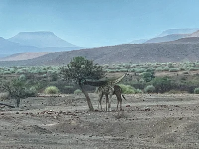 Sesfontein - Photo 3