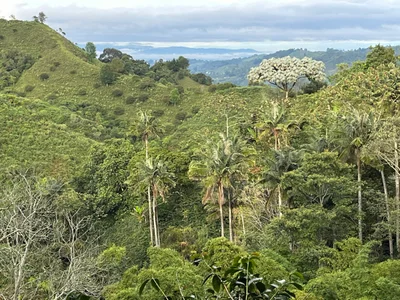 Finca Momota - Photo 2