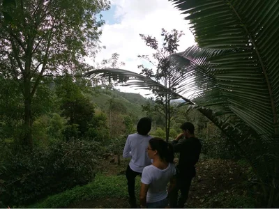 Finca Momota - Photo 4