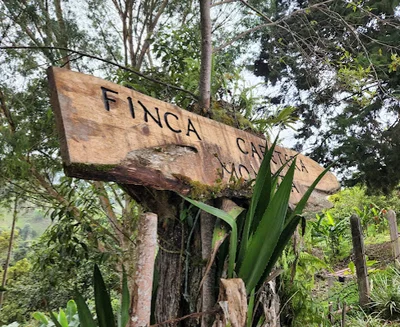 Finca Momota - Photo 5