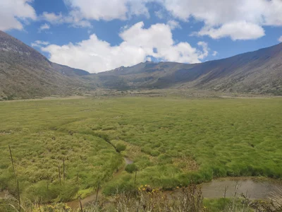Paramo Trek - Photo 4