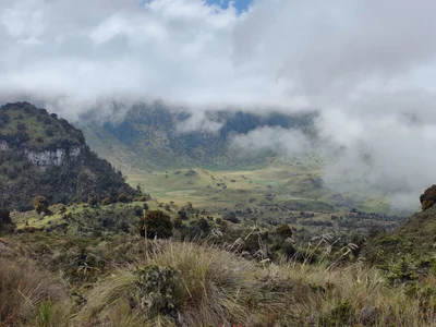 Paramo Trek - Photo 5