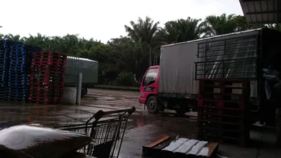 Jerantut District - Photo 5