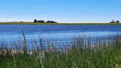 Msukaligwa - Photo 3