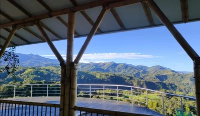 Finca Buenavista - Photo 4