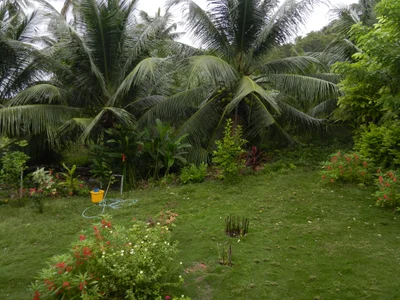 Samboan - Photo 3