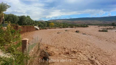 Ait Ourir - Photo 4