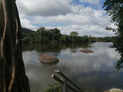 Tapanahony - Photo 2