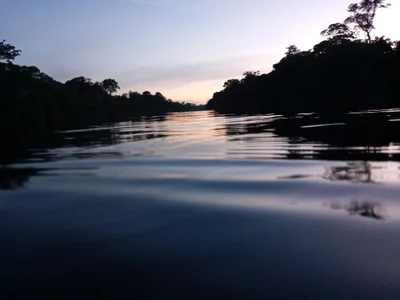Tapanahony - Photo 3