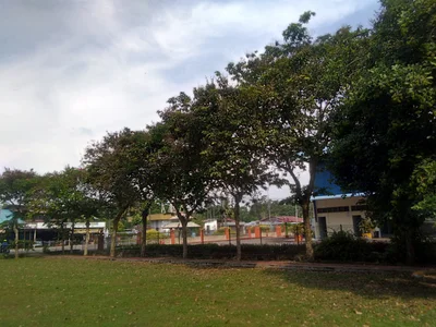 Sungai Balang - Photo 4