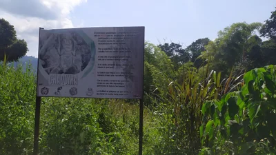 Chaquira - Photo 4