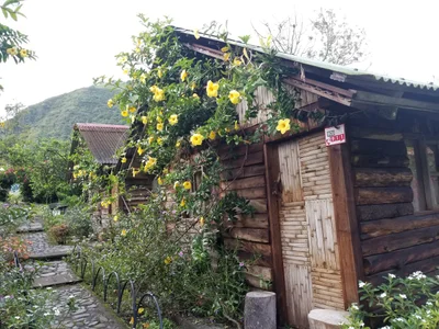 Apuela - Photo 2