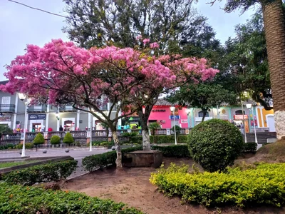 Atuntaqui - Photo 5